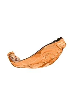 Illustration of salmon Stock Illustration