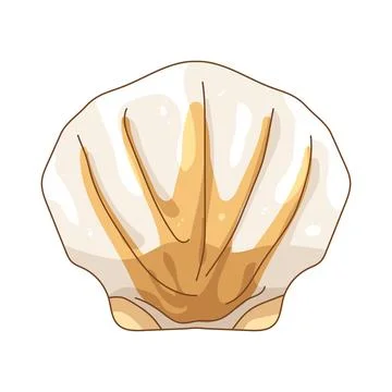 Illustration of scallop shell Stock Illustration
