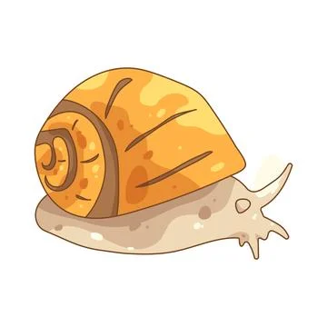 Illustration of sea snail Stock Illustration
