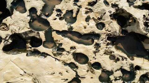 An illustration of seamless pattern as a bathroom or living room sample tiles イラスト素材