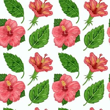 Illustration of a seamless pattern of hibiscus plants - flowers and leaves of a Stock Illustration
