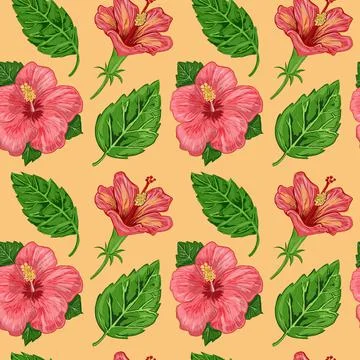 Illustration of a seamless pattern of hibiscus plants - flowers and leaves of a Stock Illustration