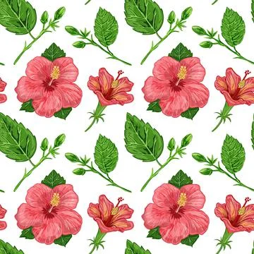 Illustration of a seamless pattern of hibiscus plants - flowers and leaves of a Stock Illustration