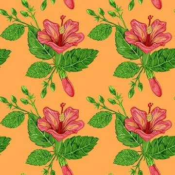 Illustration of a seamless pattern of hibiscus plants - flowers and leaves of a Stock Illustration