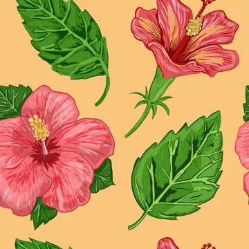 Illustration of a seamless pattern of hibiscus plants - flowers and leaves of a Stock Illustration