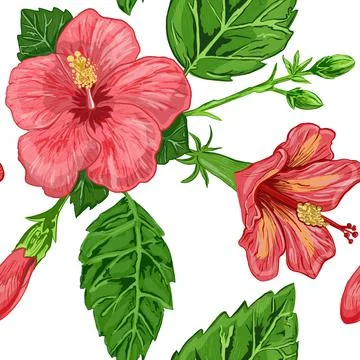 Illustration of a seamless pattern of hibiscus plants - flowers and leaves of a Stock Illustration