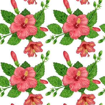 Illustration of a seamless pattern of hibiscus plants - flowers and leaves of a Stock Illustration