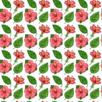 Illustration of a seamless pattern of hibiscus plants - flowers and leaves of a Stock Illustration