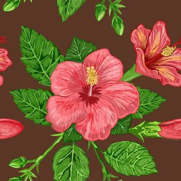 Illustration of a seamless pattern of hibiscus plants - flowers and leaves of a Stock Illustration