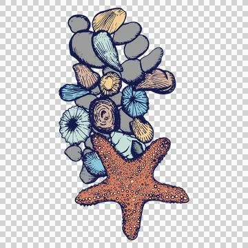 Illustration of seashell and pebbles Illustrazione stock