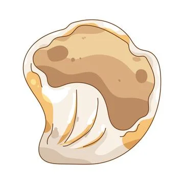 Illustration of seashell Stock Illustration