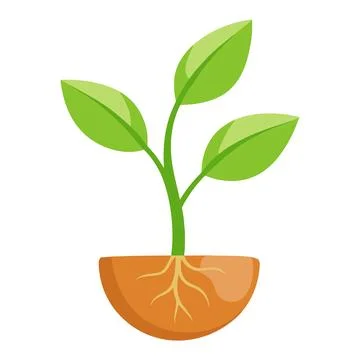Illustration of Seed sprout with the root Stock Illustration