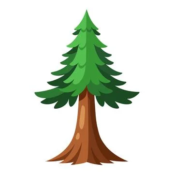 Illustration of Sequoia tree isolated on white Stock Illustration