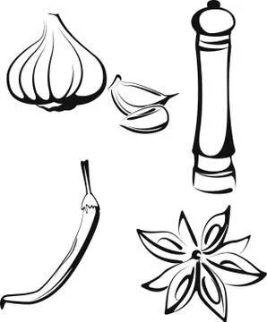 Illustration with a set of spice Stock Illustration