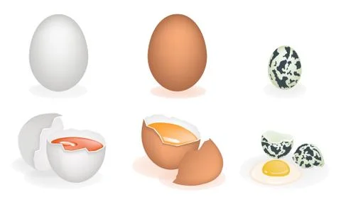 An Illustration Set of Three Different Eggs Stock Illustration