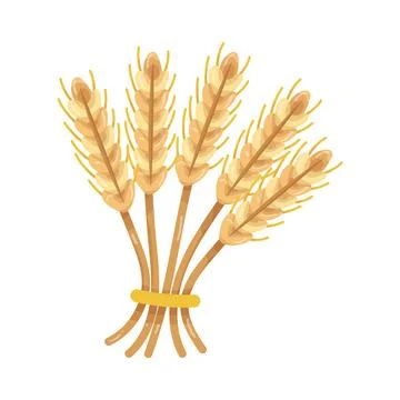 Illustration of  sheaf of wheat Stock Illustration