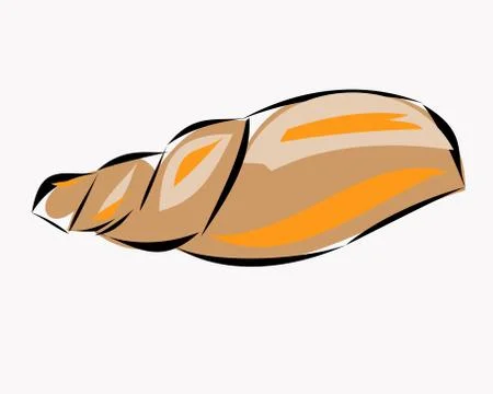 Illustration of  shell Stock Illustration