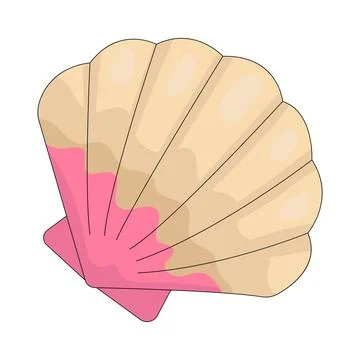 Illustration of shell Stock Illustration