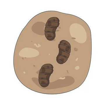 Illustration of Shoe prints on the ground Stock Illustration