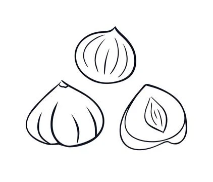 Illustration showing a set of three hazelnuts Stock Illustration