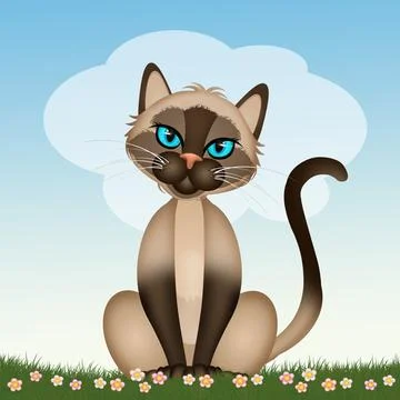 Illustration of the Siamese cat Stock Illustration