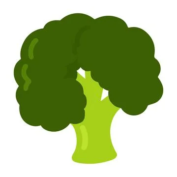 Illustration of simple flat colored green broccoli Stock Illustration