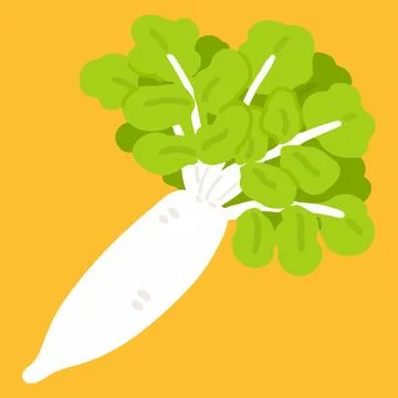 Illustration of simple flat colored white daikon radish Illustrazione stock