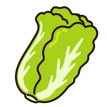 Illustration of simple outlined Chinese cabbage leaves Illustrazione stock