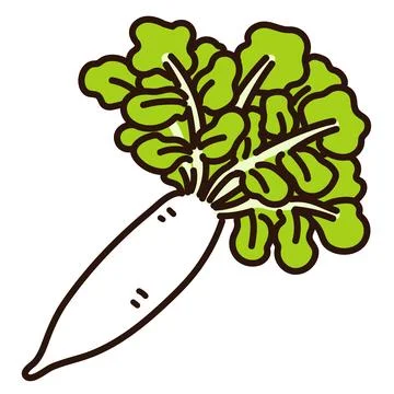 Illustration of simple outlined white daikon radish Illustrazione stock