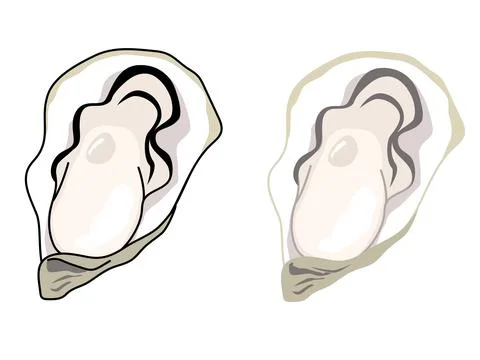 Illustration of a simple oyster with a shell. Stock Illustration