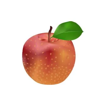 Illustration of single apple vector design on a white background Stock Illustration