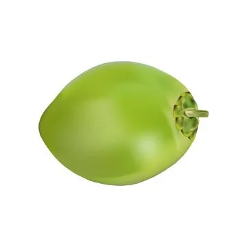 Illustration of a single green coconut vector design on a white background Stock Illustration