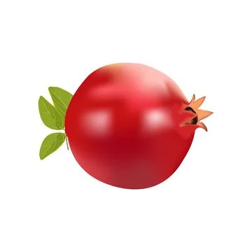 Illustration of a single pomegranate vector design on a white background Stock Illustration