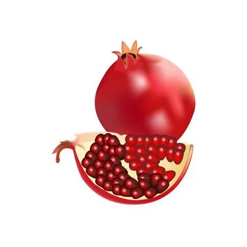 Illustration of single pomegranate vector design on a white background Stock Illustration