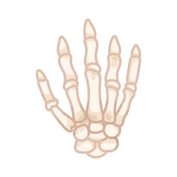 Illustration of skeleton hand Stock Illustration