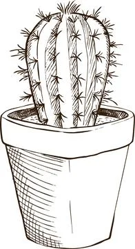 Illustration sketch cactus in a pot Stock Illustration