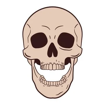 Illustration of a skull with an open jaw. Vector. Stock Illustration