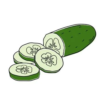 Illustration of a sliced cucumber in a linear style. Stock Illustration