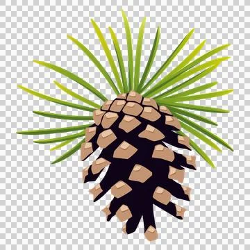 Illustration of a small pine cone with green pine needles Stock Illustration
