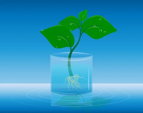Illustration of a small tree sprout. Planet Day, the day when everyone plant  Stock Illustration