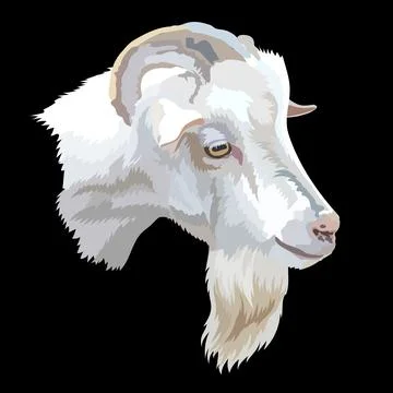 Illustration of smart white goat head with a beard and horns vector Illustrazione stock