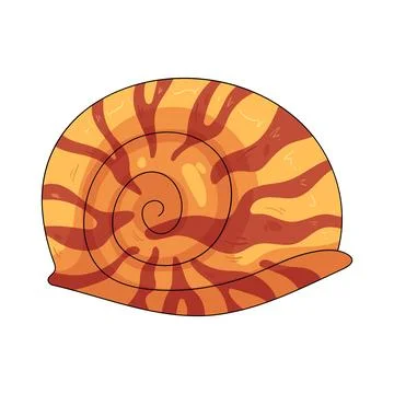 Illustration of snail shell 库存插图
