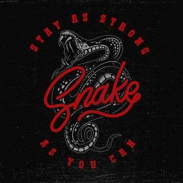 Illustration of snake cobra, python, viper in vintage monochrome style. Desig Stock Illustration