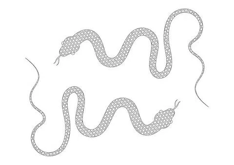 Illustration of a snake with detailed scale pattern Stock Illustration