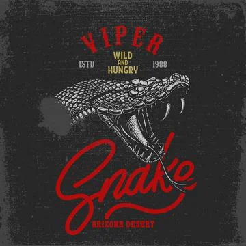 Illustration of snake head, cobra, python, viper in vintage monochrome style. 스톡 일러스트