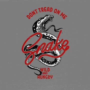 Illustration of snake head, cobra, python, viper in vintage monochrome style. 스톡 일러스트