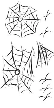 Illustration of a spider's web Illustrazione stock