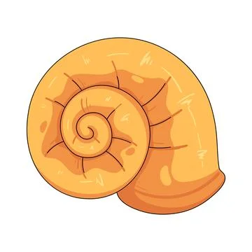 Illustration of spiral seashell Иллюстрация