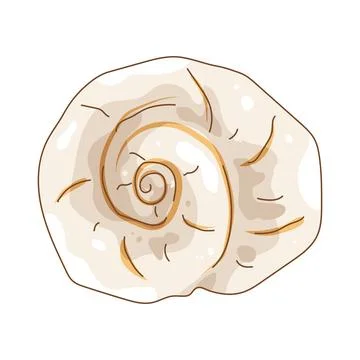 Illustration of spiral shell 库存插图