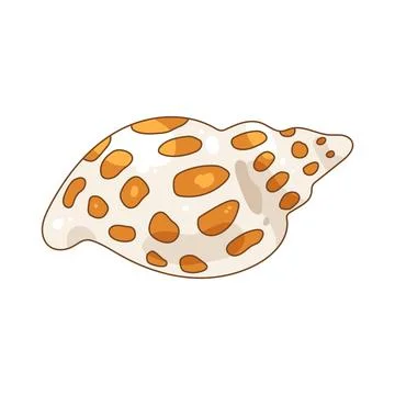 Illustration of spotted seashell 库存插图